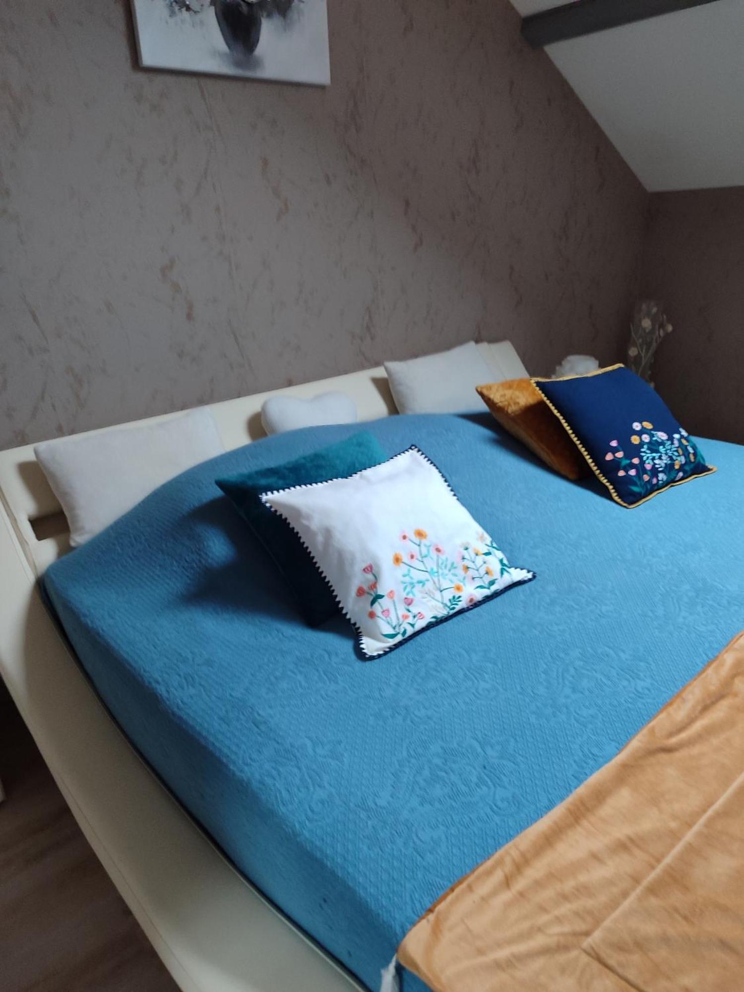 Gite Vallee Et Semoy Tournavaux エクステリア 写真